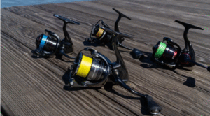 Fishing Reel vs. Fishing Rod: What UK Anglers Need to Know Before Their Next Trip